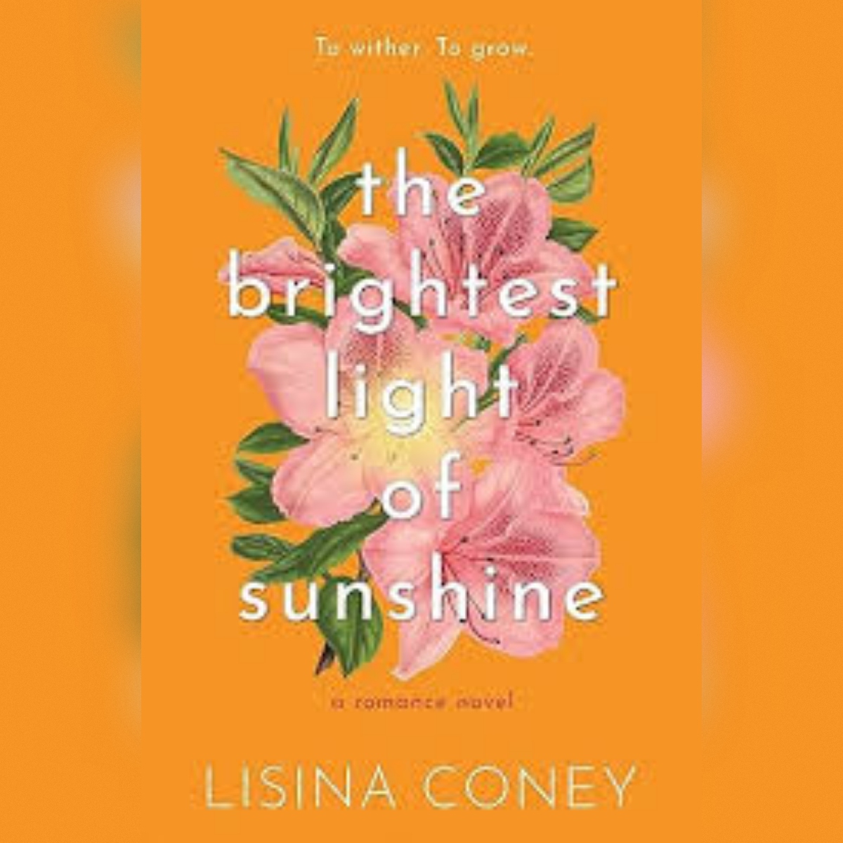 the brightest light of sunshine - lisina coney
